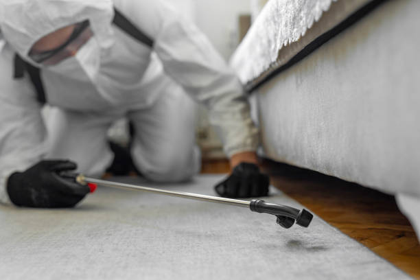 Professional Cockroach Control technician working in Jasper County County, IN